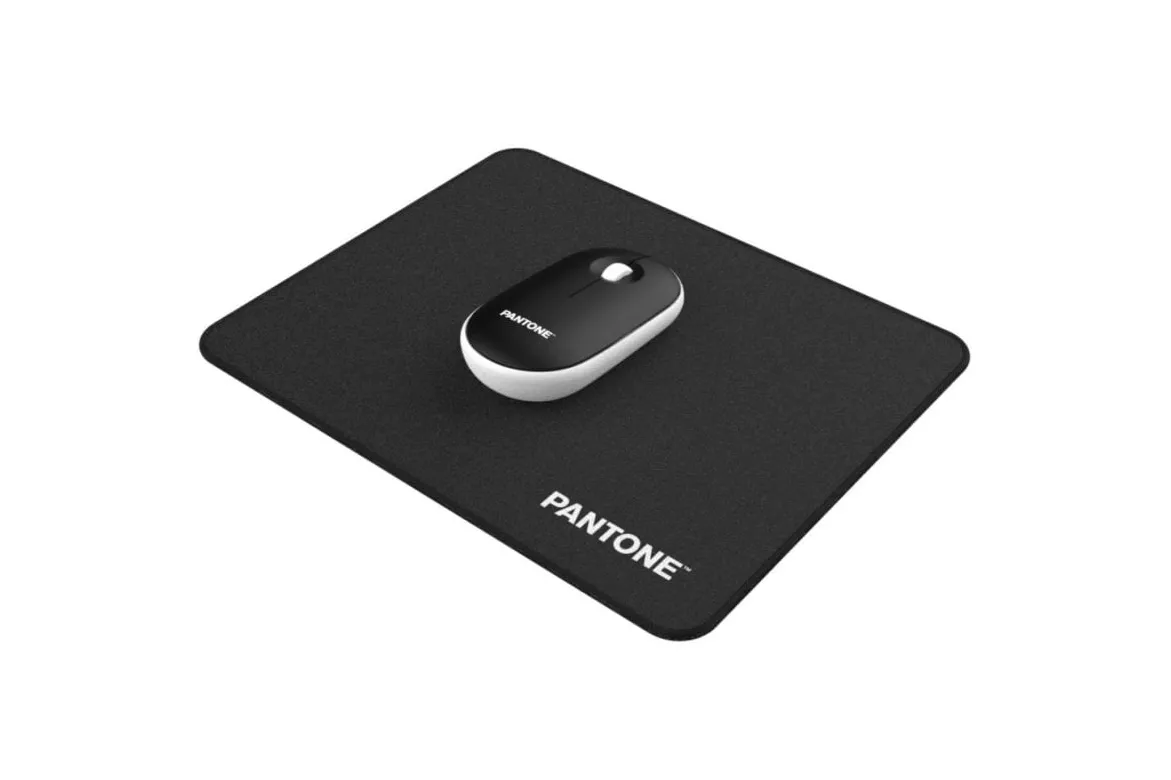Rat&oacute;n Celly PT-MP002B Inal&aacute;mbrico 100 DPI Negro Blanco Ambidiestro