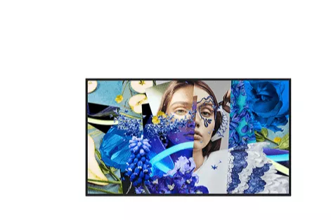 HIKVISION DS-D6055UN-DP 55" LED 4K Ultra HD HDMI Altavoces