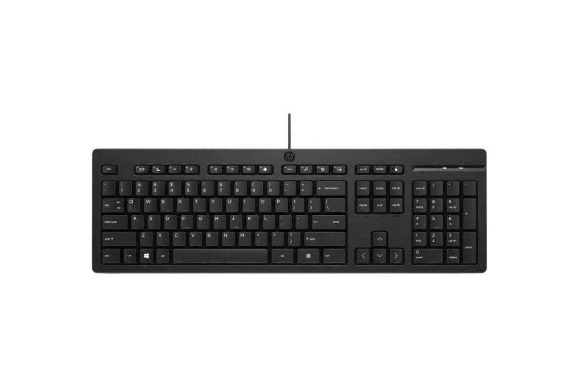 Teclado HP 125 USB Al&aacute;mbrico Completo 100% Negro Cable 1.8m