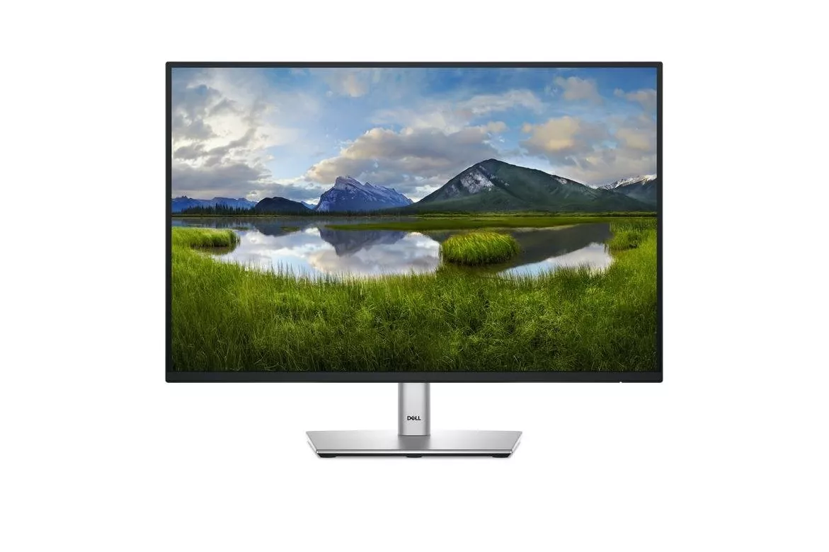 Monitor Dell P2425E 24,1" WUXGA 100Hz IPS Ajuste altura USB-C