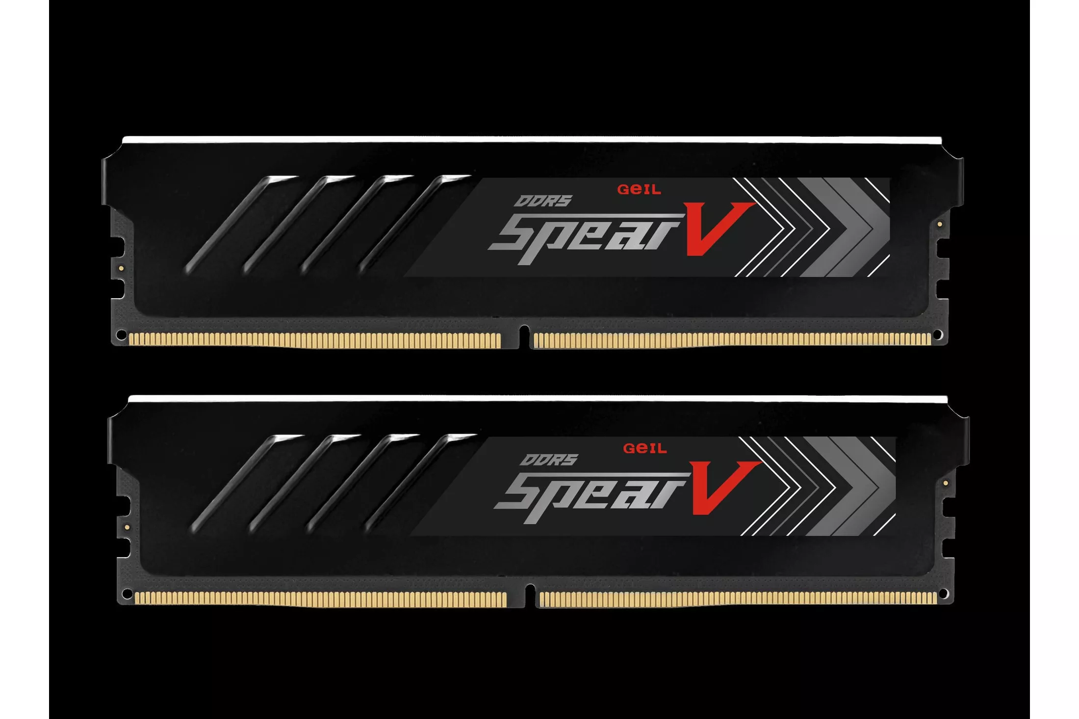 GASB532GB6000C36CDC, Memoria RAM