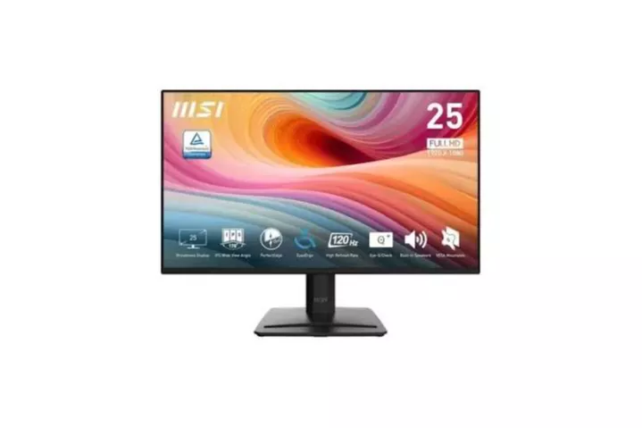 MSI Pro MP251 - Monitor 24.5" Full HD 100Hz Adaptive-Sync