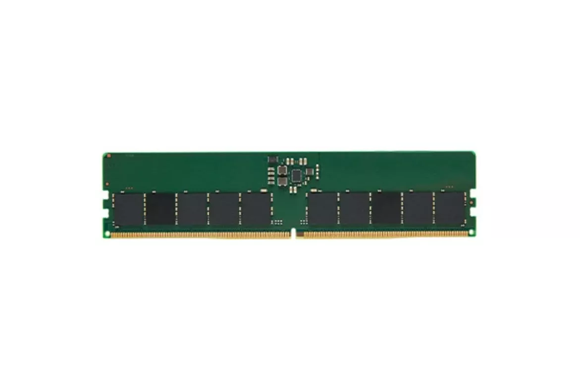 Memoria RAM Kingston 16GB 1x16GB DDR5 5600MHz CL46 ECC Verde