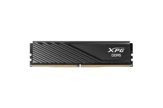 XPG NovaKey RGB 32GB (2x16GB) DDR5 6000MHz CL48 - Memoria RAM