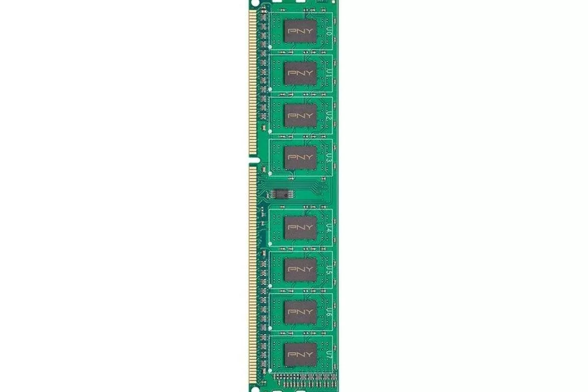 Memoria RAM PNY 8GB 1x8GB DDR3 1600MHz CL11 Verde