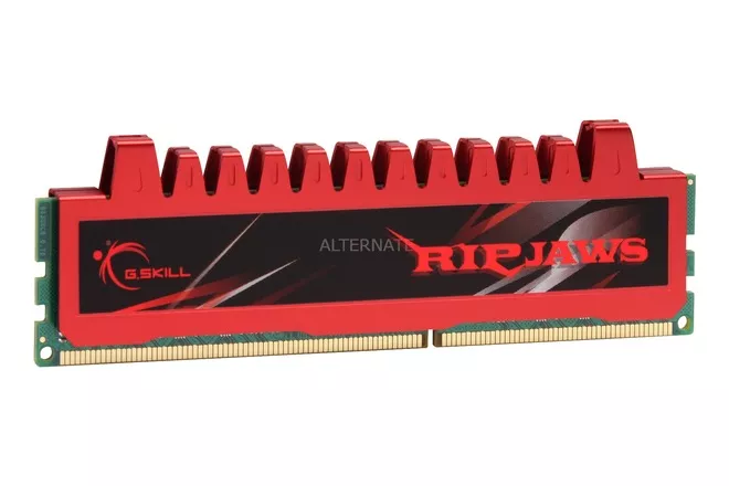 F3-10666CL9S-4GBRL módulo de memoria 4 GB 1 x 4 GB DDR3 1333 MHz, Memoria RAM