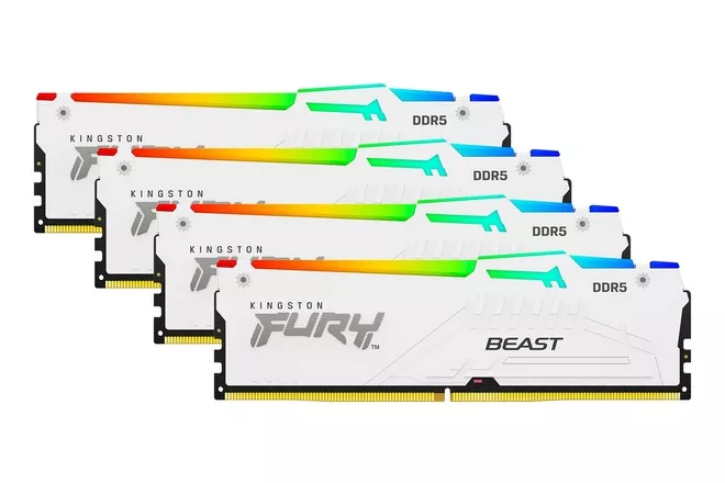 KF556C40BWAK4-128, Memoria RAM