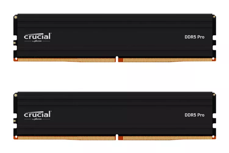 Crucial Pro 48GB (2x24GB) DDR5 6000MHz CL48 - Memoria RAM