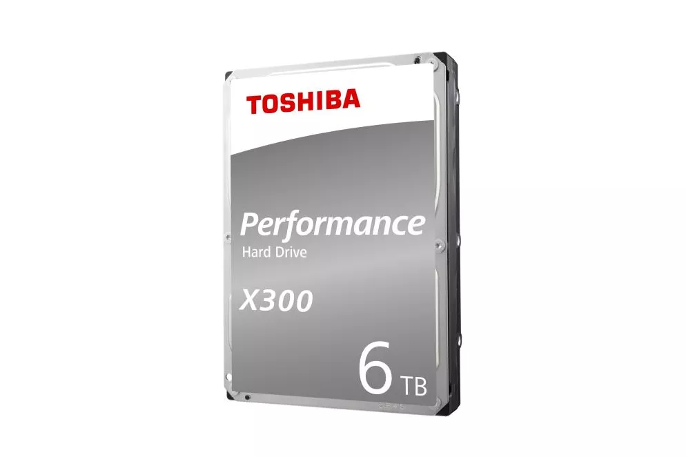 BULK X300 HDD INTERNO SATA 6 TB