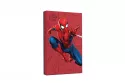 Seagate Spider-Man Edition FireCuda 2TB USB 3.2