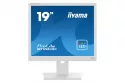 Iiyama ProLite B1980D-W5 19" LCD SXGA