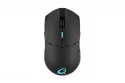 QPad DX900 Ratón Gaming Inalámbrico 16000 DPI Negro