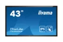 Monitor iiyama ProLite T4362AS-B1 43" IPS UHD Táctil Android