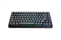 Teclado Mecânico Ducky Tinker65 75% RGB Black MX Brown (ES)