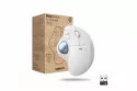 ERGO M575 for Business ratón mano derecha RF Wireless + Bluetooth Trackball 2000 DPI