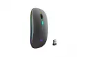 Ratón Ewent inalámbrico 1600 DPI Bluetooth 5.2 Silencioso RGB Recargable Ultra Slim
