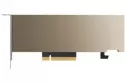 Tarjeta Gráfica PNY NVIDIA A2 16GB GDDR6 PCI Express 4.0 x8 Enfriamiento Pasivo