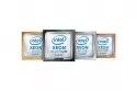 Intel Xeon-Silver 4510 procesador 2 4 GHz 30 MB L3