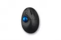 Ratón Kensington Pro Fit Ergo TB450 Trackball 1600DPI Wireless Bluetooth Negro/Azul