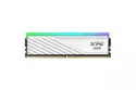 AX5U6000C3032G-SLABRWH, Memoria RAM