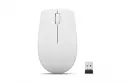 Ratón Lenovo 300 Compact Wireless Cloud Grey