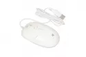 Ratón iBox Seagull USB tipo A 2400DPI Blanco Ambidiestro Cableado