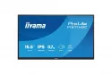 Monitor iiyama ProLite P1671HSC-B1 15,6" FullHD 60Hz IPS Altavoces 3ms Mate