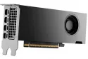 NVIDIA RTX PRO 2000 IA Blackwell 16GB GDDR7 ECC Bulk