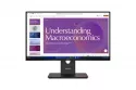 Monitor Lenovo ThinkVision T24D-40 23,8" FullHD 120Hz IPS USB-C Altura Ajustable