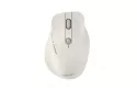 Ratón ASUS MD105 inalámbrico RF Bluetooth 2400 DPI beige ergonómico