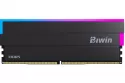 Memoria RAM Biwin Black Opal DW100 48GB 2x24GB DDR5 6000MHz CL28 RGB Dual Pack Negro