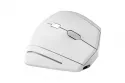 Rat&oacute;n TnB Ergon&oacute;mico Vertical Inal&aacute;mbrico Bluetooth 1600 DPI Blanco Recargable