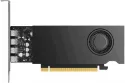 PNY RTX 2000E Ada 16GB GDDR6 PCI Express x8