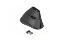 Rat&oacute;n Delock 12622 RF inal&aacute;mbrico 1000 DPI Negro dise&ntilde;o vertical mano derecha
