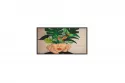 PHILIPS Signage Solutions 50" VA 4K Ultra HD HDMI Altavoces