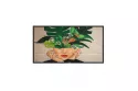 PHILIPS Signage Solutions 32" ADS ADS Full HD HDMI Altavoces