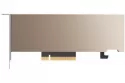 PNY NVIDIA A2 Low Profile 16GB GDDR6 ECC