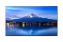 Monitor NEC MultiSync P436 43" UltraHD 4K 60Hz IPS HDR Direct-LED señalización profesional