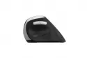 Ratón Rapoo EV250 RF inalámbrico 1600 DPI Negro Plata mano derecha