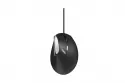 Ratón Rapoo EV200 USB tipo A 1600 DPI Negro Plata mano derecha cable