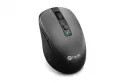 Ratón C-Tech WLM-19 Bluetooth RF Wireless 1600 DPI Negro 6 Botones