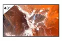 Monitor Sony BZ30P 43" UltraHD 4K 60Hz IPS HDR10 Dolby Vision WiFi Android