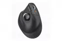 Protoarc NL EM05 - Ratón ergonómico inalámbrico