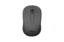 Trust Ziva Wireless Compact Ratón Inalámbrico 1200DPI