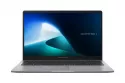 Portátil Asus ExpertBook P1 P1503CVA-S72954W 15,6" Intel Core 3 100U 8GB 512GB SSD Intel Graphics Windows 11 Home