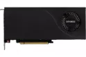 Sparkle Arc Pro B50 16GB GDDR6 PCIe 5.0 Blower