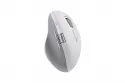 Ratón TnB MWINFINITEPROWH Dual Bluetooth USB-A Rueda Infinite Blanco