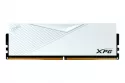 AX5U6000C4016G-CLAWH, Memoria RAM