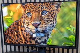 MSI MPG 271QR QD-OLED X50 Review