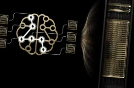 NVIDIA rompe los límites de la IA con un salto de 10x gracias a los servidores GB200 Blackwell NVL72